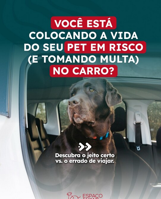 Post do Instagram da Espaço Animal com dicas de viagem segura levando pets no carro