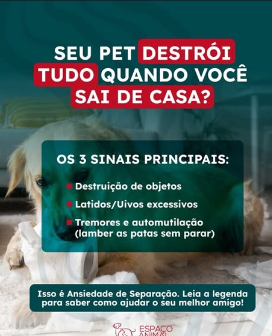 Post do Instagram da Espaço Animal sobre sinais de ansiedade de separação em cães e gatos