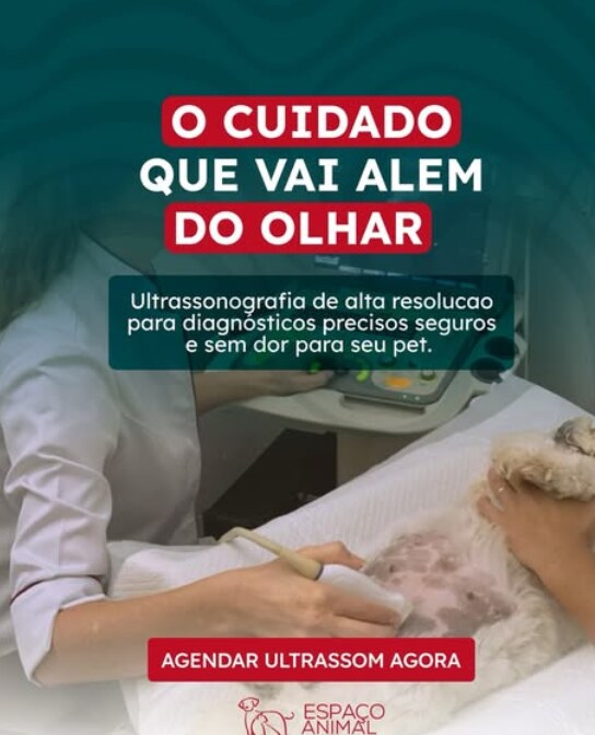 Post do Instagram da Espaço Animal sobre diagnóstico veterinário que vai além da observação clínica